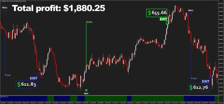 Maximize Your Trading Potential with Biz Scalper mt4 EA: The Ultimate Forex Companion