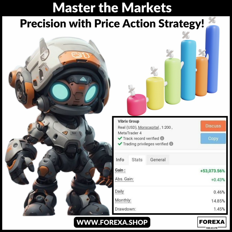 Master the Markets: ViGroup  - Precision with Price Action Strategy!