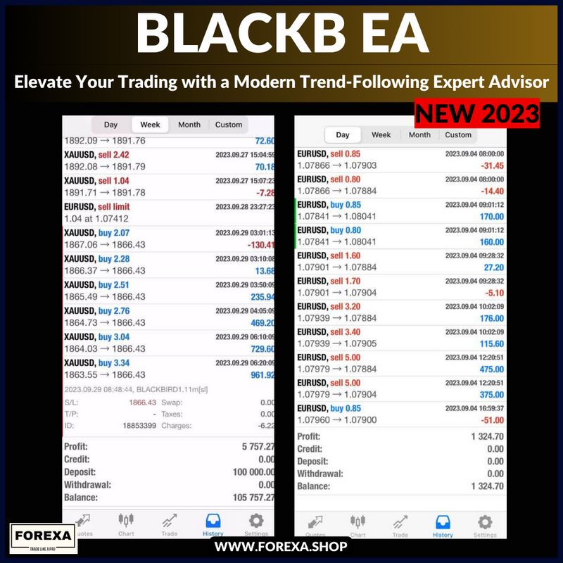 Blackb EA: Elevate Your Trading with a Modern Trend-Following Expert Advisor With SetFiles