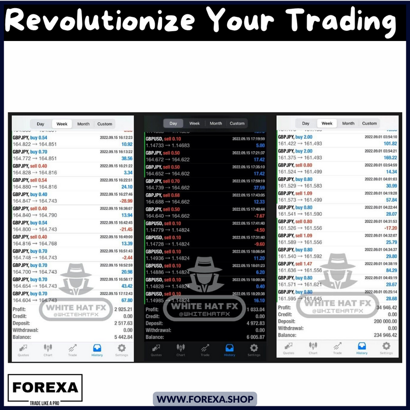 FX v2 - MT4 EXPERT ADVISOR (AUTO-TRADING ROBOT)