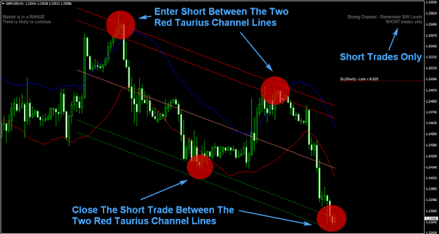 Forex Robot Semi Automated System PRO +Trade Manager- MT4 Expert Advisor LEARN HOW TO TRADE - forexa robot