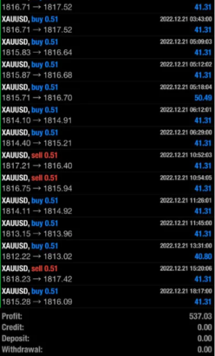 Profitable Gold Trading MT4 Robot - forexa robot